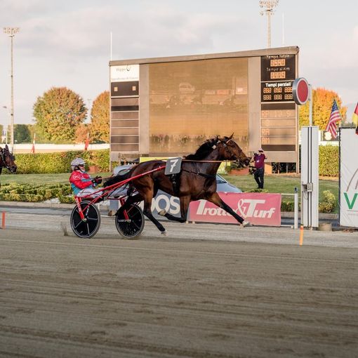 Ippodromo di Vinovo: il 1° novembre, rivincita del derby e delle Oaks nel gp Orsi Mangelli
