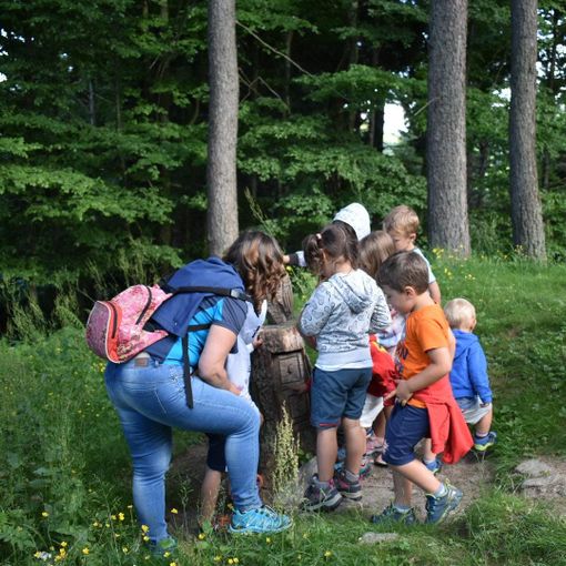 Gita Primaverile a Pian Munè di Paesana per le scuole