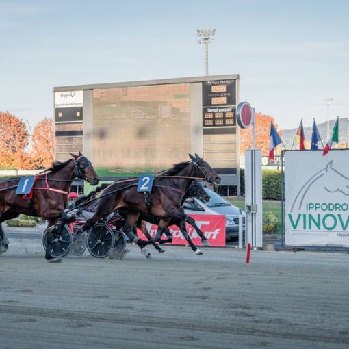 All'ippodromo di Vinovo una domenica tra cavalli e mamme in festa