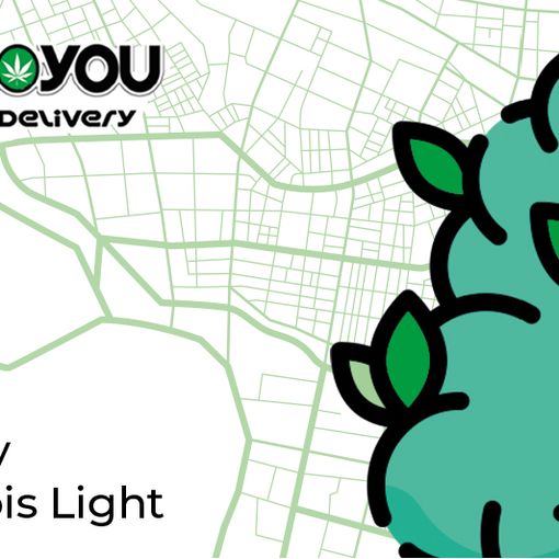 JoinToYou, una giovane azienda bolognese protesa ai vertici della distribuzione della Marijuana Legale in Italia grazie al delivery