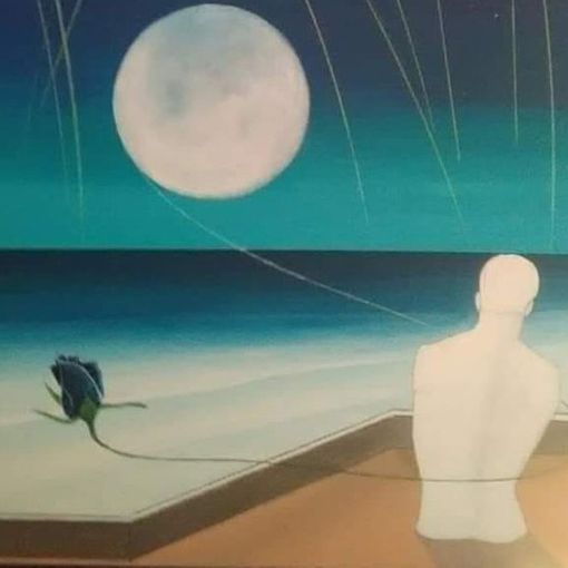 La Luna Bianca e lo sciame delle Leonidi, viste dal pittore piemontese Franco Gotta