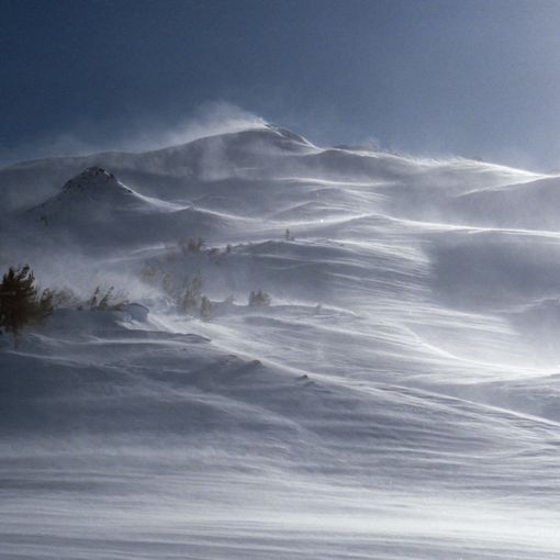 Foto di Les_Anderson - tramite Unsplash