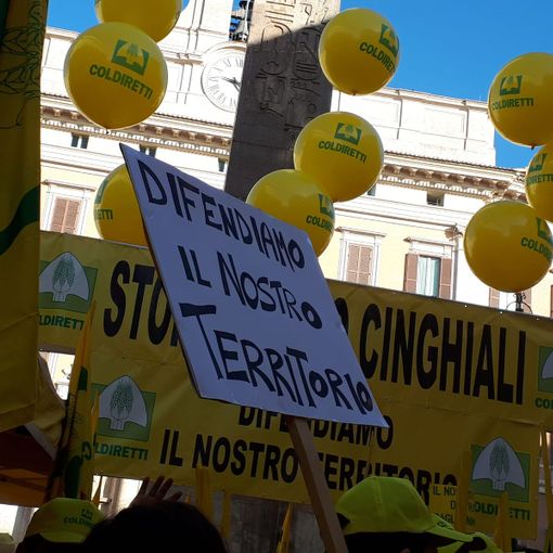 Confagricoltura Piemonte sui cinghiali: &quot;Fronteggiare l’emergenza, assicurare salute e sicurezza&quot;
