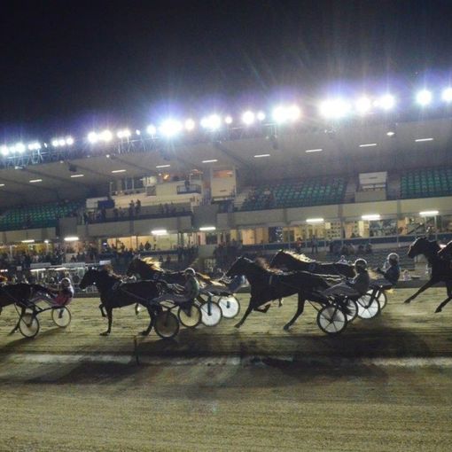 Ippodromo di Vinovo, la notte del Gran Premio Nazionale, di mille eventi collaterali... e di Roberto Vecchioni