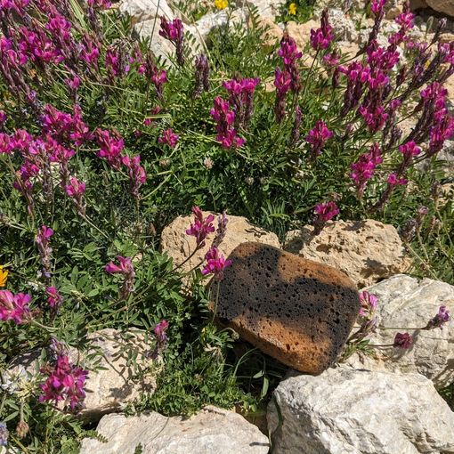 Dalle mutande al cotton fioc e fazzoletti, sulle Alpi mezzo chilo di rifiuti ogni Km