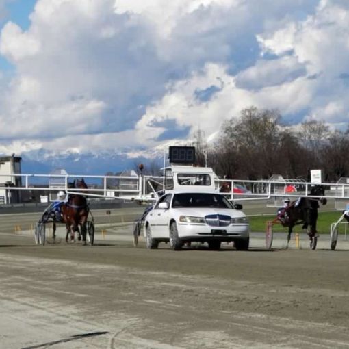 Il 31 ultimo grande appuntamento di trotto per il maggio dell'ippodromo di Vinovo