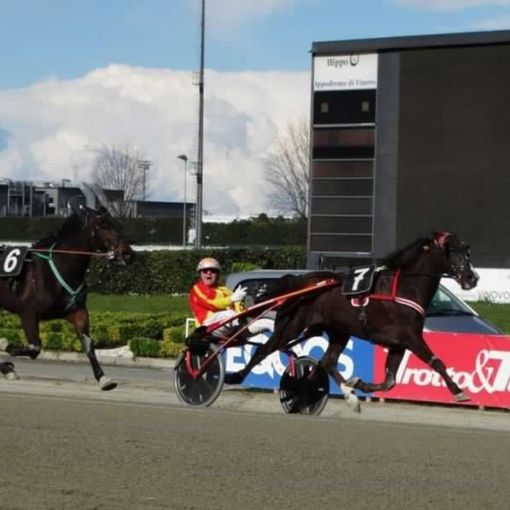 Un lunedì di grande trotto all'ippodromo di Vinovo: 68 i cavalli in pista