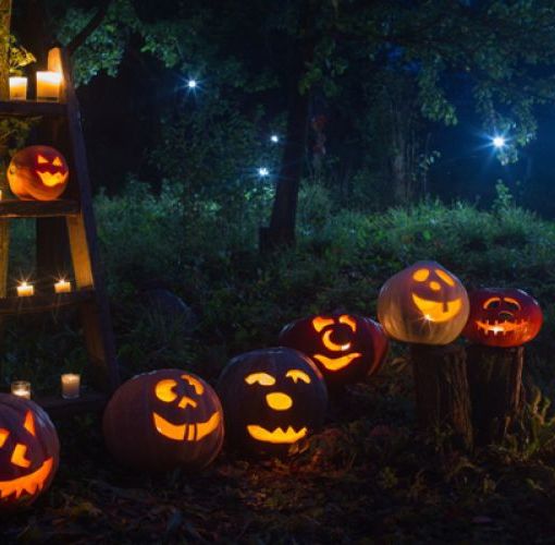 Paesana: il bosco di Pian Munè si trasforma per Halloween e diventa stregato