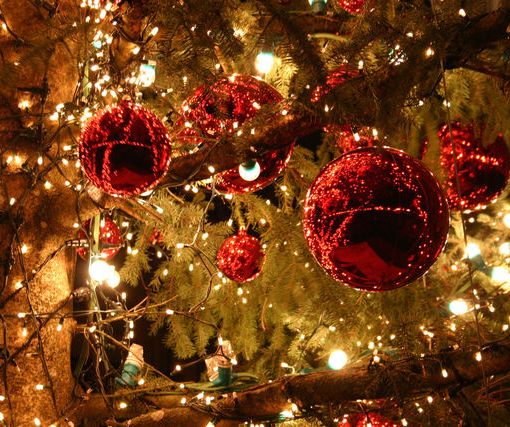 A Vigone arriva il Natale con presepi creativi e alberi addobbati dai bimbi