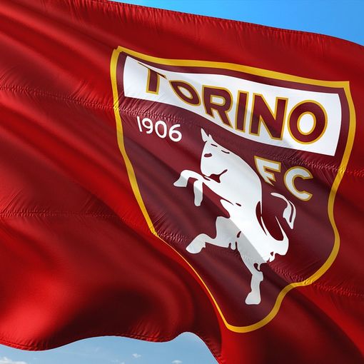 bandiera toro