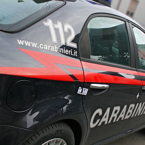 Lupo investito sulla Provinciale che porta da Vigone a Pancalieri