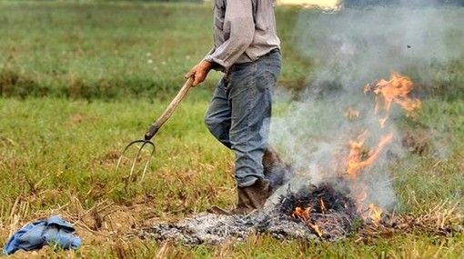 A Vigone fino a domenica si potranno bruciare residui vegetali