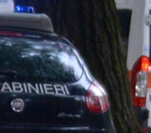 Investita mentre attraversava sulle strisce, ma è giallo a Nichelino (foto d'archivio)