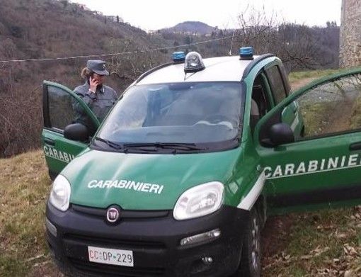 I carabinieri della Forestale avvertono: &quot;Nel 2022 boom di incendi, aumenta la pesca abusiva&quot;