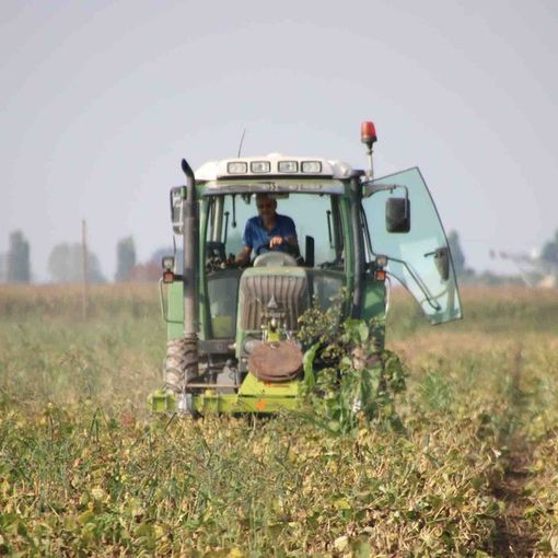 Agricoltura, in Piemonte aperto il bando da 9,2 milioni per la riduzione delle emissioni di gas serra e ammoniaca