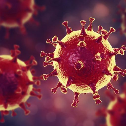 Coronavirus, oggi in Piemonte due morti e 13 ricoverati in più, ma nessuno in terapia intensiva