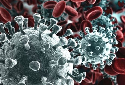 Continua la corsa del Coronavirus in Piemonte: 4 i decessi e quasi 500 nuovi positivi