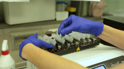 Laboratorio analisi con provette