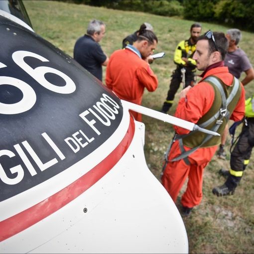 Drago dei vigili del fuoco
