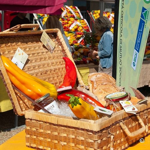 Carmagnola, la Fiera del Peperone 2020 alza il sipario sui produttori del territorio