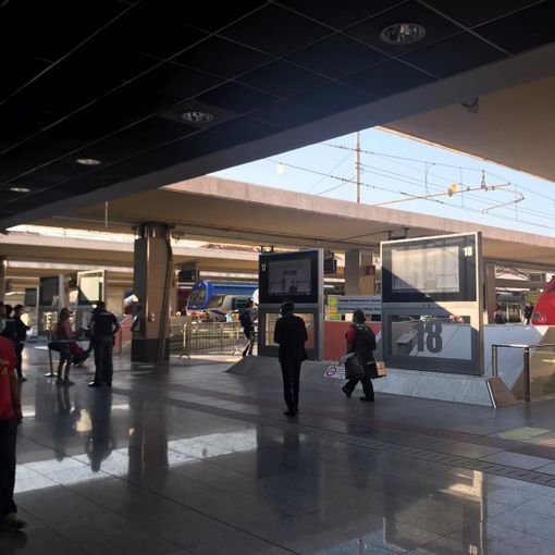 Da Torino Porta Nuova il Frecciarossa diretto in Calabria: &quot;Per avere questo treno ci voleva il virus&quot;