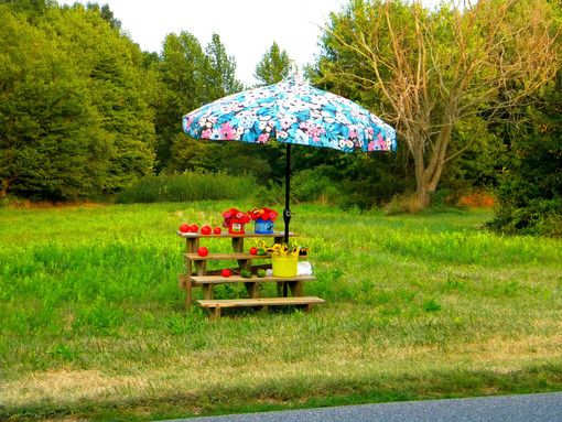 kit da campeggio e pic nic