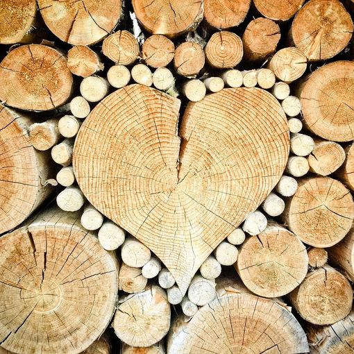 Nasce a Woody 2024 l’associazione “Cluster Legno Piemonte”