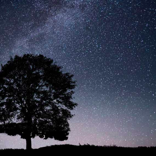 Notte di San Lorenzo: ecco dove vedere le stelle ed esprimere i propri desideri