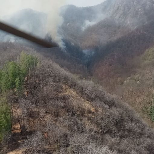 Da domani in tutto il Piemonte proclamato lo stato di massima pericolosità per gli incendi boschivi