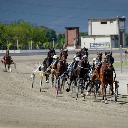 All'ippodromo di Vinovo una domenica tra grande trotto e moda