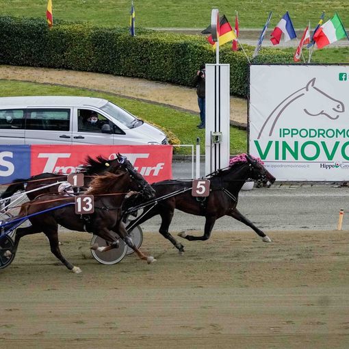 retta d'arrivo ippodromo di vinovo