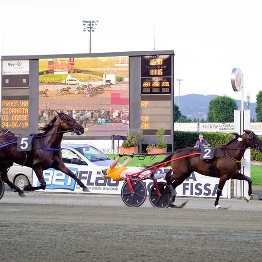 Un ricco programma di corse per il primo appuntamento di luglio all'ippodromo di Vinovo