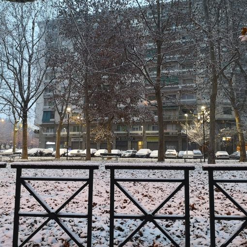 Neve a Torino