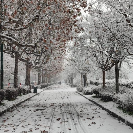 Previsioni meteo, a Torino arriva la neve: ecco quando è attesa in città