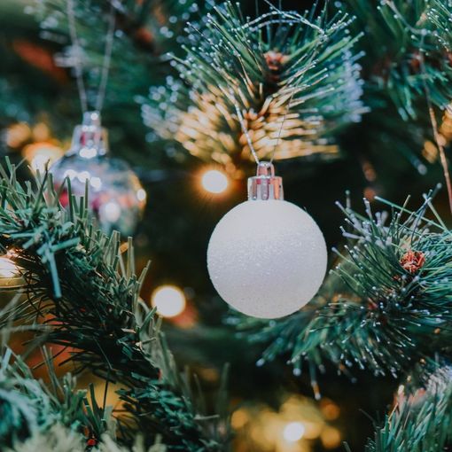 Il pranzo di Natale con il menù dello chef Giuseppe Zizzo