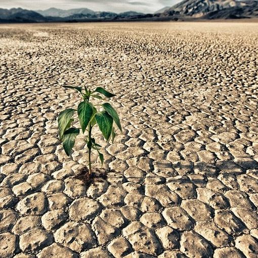 Crisi idrica: Pinerolo emana l’ordinanza per limitare l’uso dell’acqua potabile