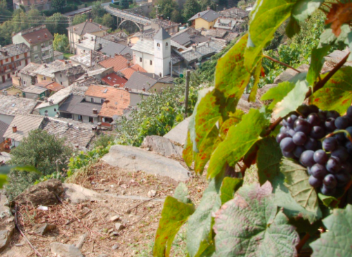 Comune di montagna ripreso dall'alto