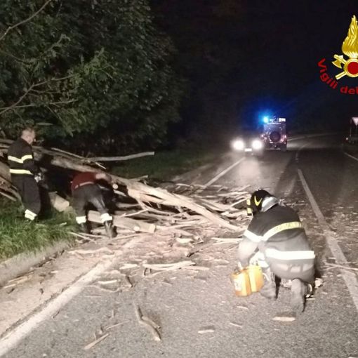 Albero si schianta sulla carreggiata, rimosso tronco a Roure