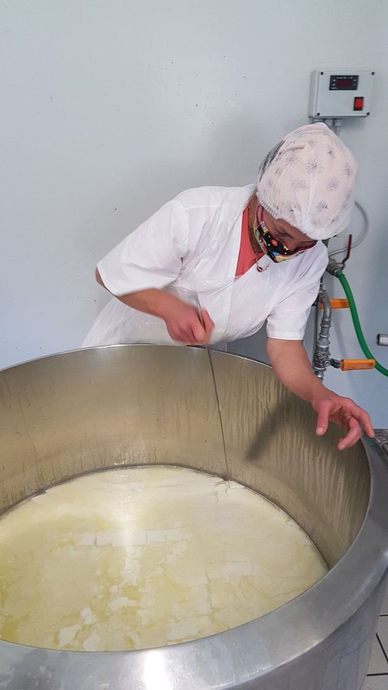 Un viaggio nel mondo del formaggio di capra, dove il rispetto per l’ambiente e per gli animali sposa tradizione e innovazione