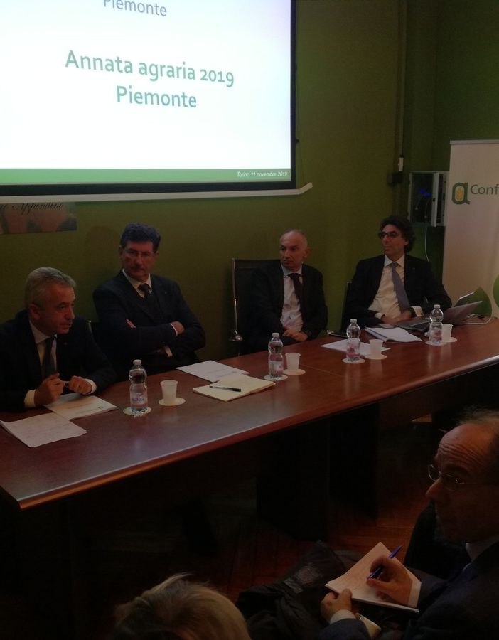 Annata Agraria 2019: il clima ha colpito la quantità, ma non la qualità, nonostante l'inverno più caldo da 62 anni