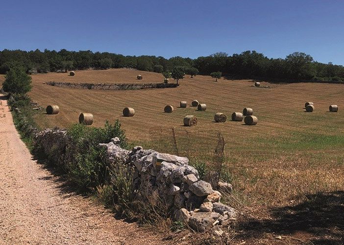 Il Cammino Materano, intervista a Giorgio: a spasso tra Puglia e Basilicata