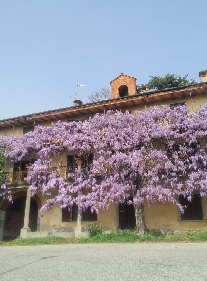 La casa del glicine, dove ha vissuto Alba de Céspedes