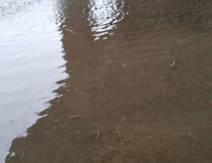 (Foto di repertorio)
