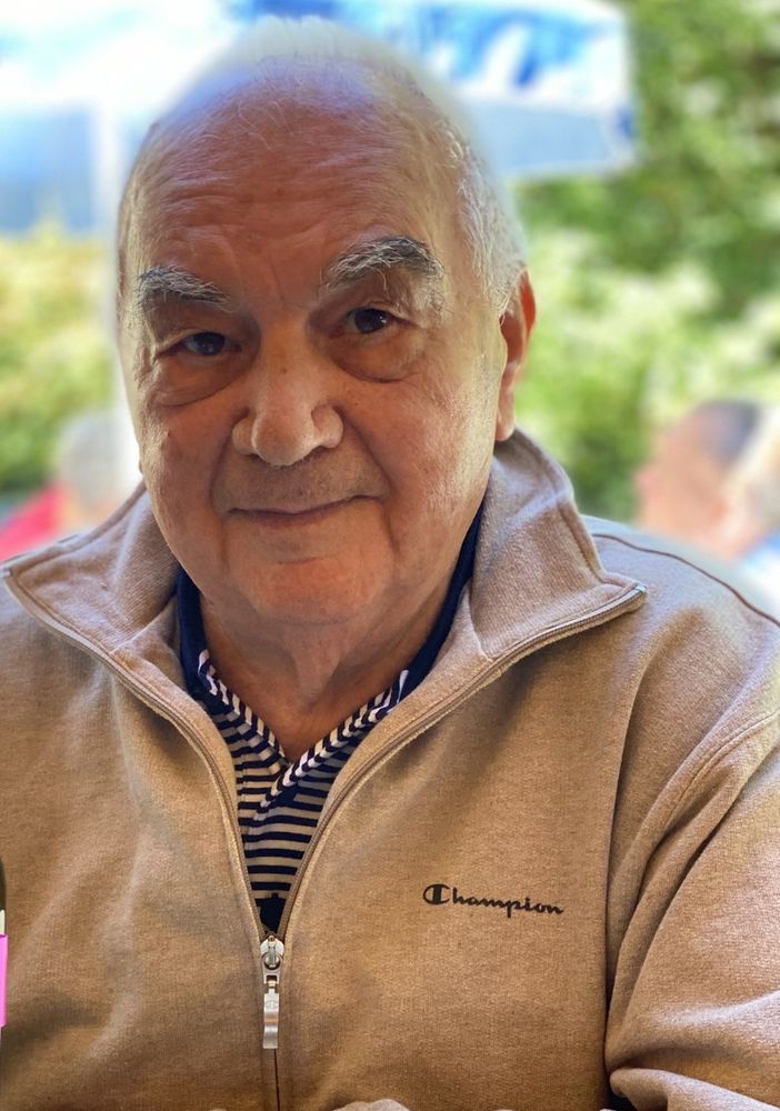 Domenico Santino Fenoglio