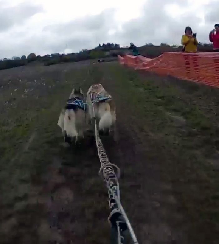 Europei bikejoring a due cani: il bibianese Vercellone si difende nel fango