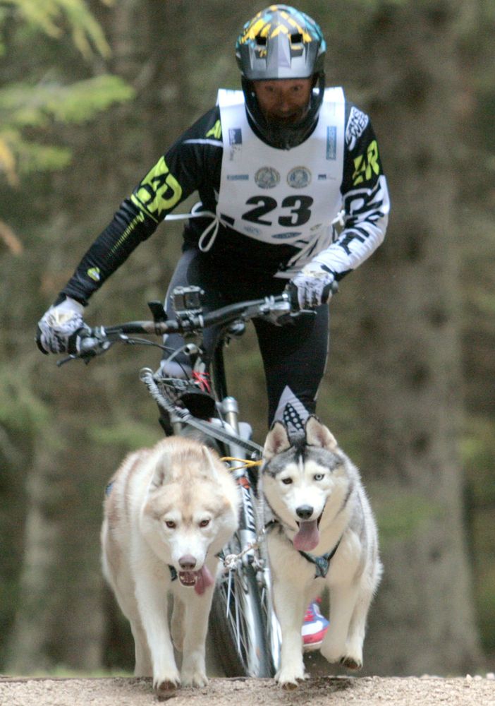 Un bibianese con i suoi Siberian Husky finisce in nazionale