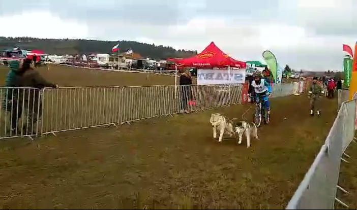 Il bibianese Vercellone quinto di categoria alla prima prova di bikejoring degli Europei