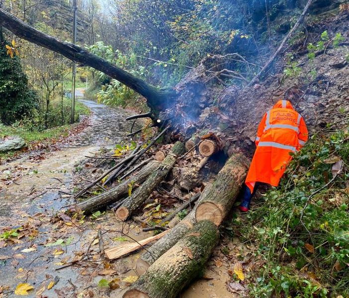 Gli Aib alla Comba Carbonieri