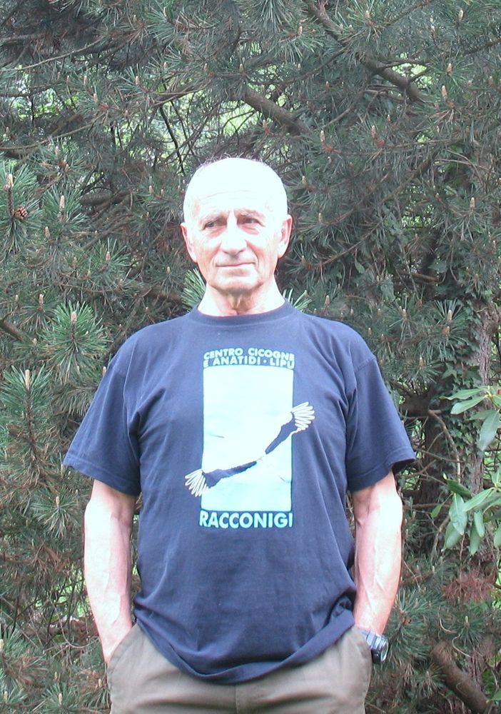 Mario Boschi