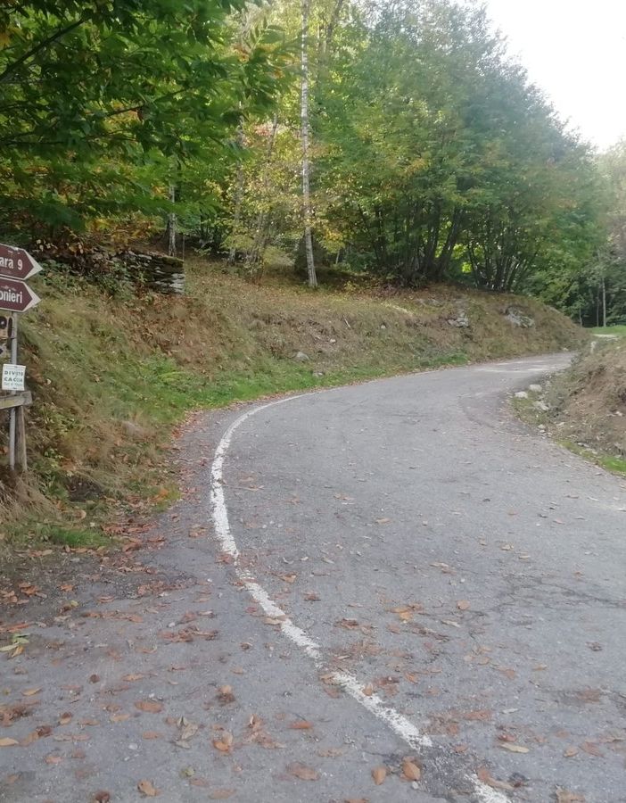 La strada della Comba Carbonieri
